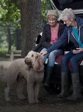 AImotability