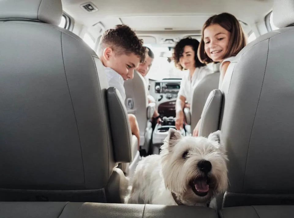 familyanddogwide