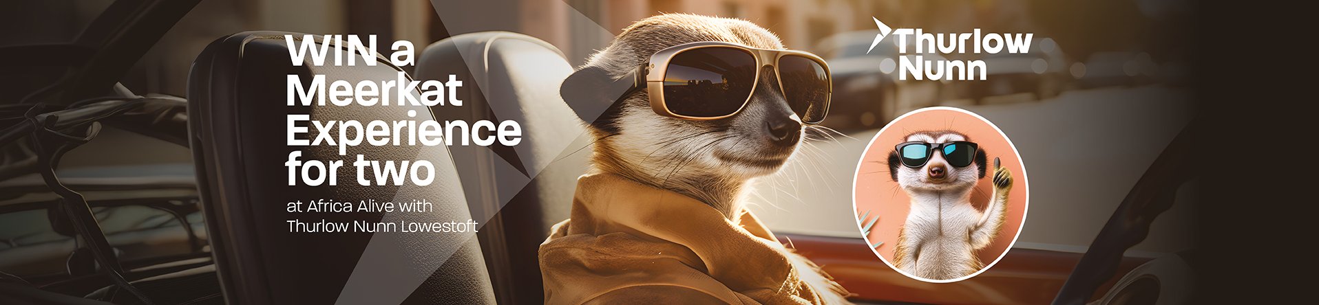 Meerkat wearing sunglasses in a car with text about winning a meerkat experience.