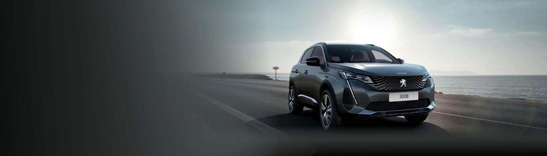 peugeot 3008 road shot banner