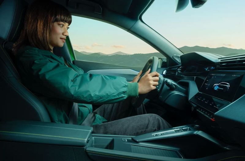 https://www.thurlownunn.co.uk/assets/media/peugeot308plugin.jpeg