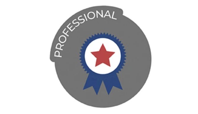 Professional value