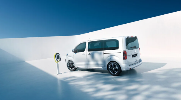 rear vivaro